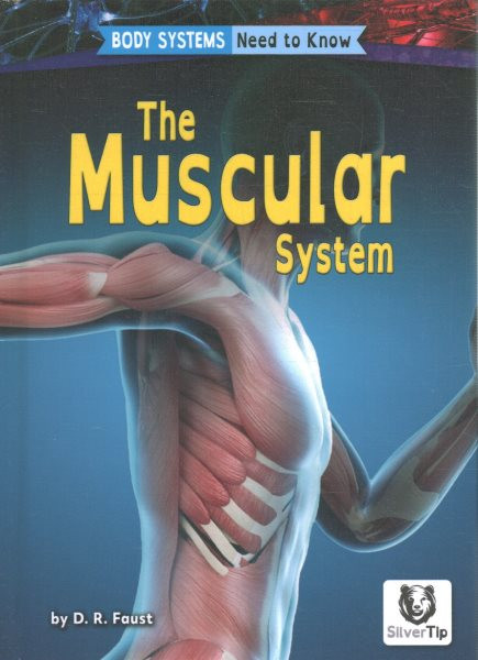 Muscular System
