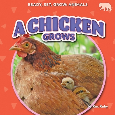 Chicken Grows