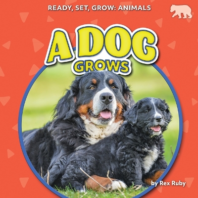 Dog Grows