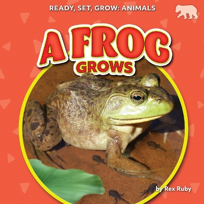 Frog Grows