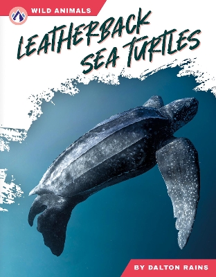Leatherback Sea Turtles
