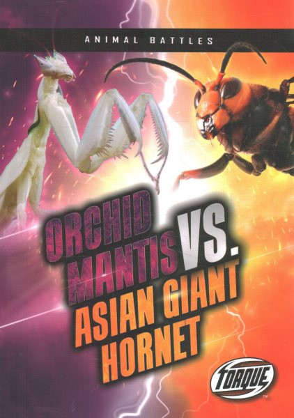 Orchid Mantis vs. Asian Giant Hornet