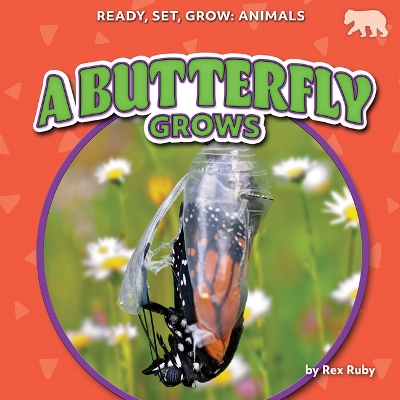 Butterfly Grows