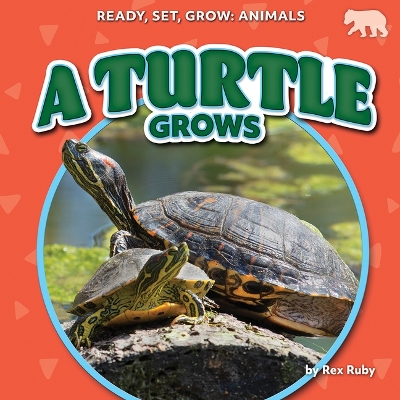 Turtle Grows