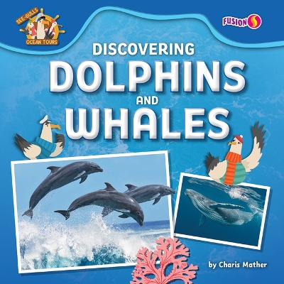 Discovering Dolphins and Whales