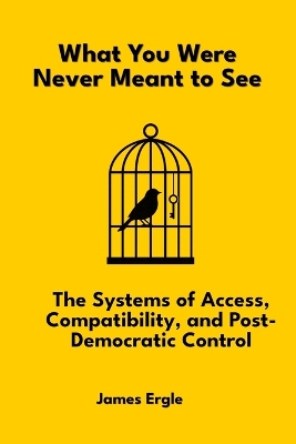 What You Were Never Meant to See: The Systems of Access, Compatibility, and Post-Democratic Control