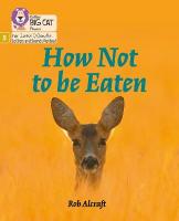 How Not to Be Eaten: Phase 5 Set 4