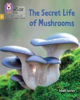 Secret Life of Mushrooms: Phase 5 Set 4 Stretch and Challenge