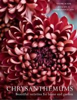 Chrysanthemums: Beautiful Varieties for Home and Garden