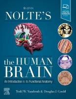 Nolte's The Human Brain: An Introduction to its Functional Anatomy 8th edition
