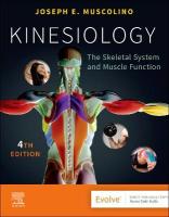 Kinesiology: The Skeletal System and Muscle Function 4th edition
