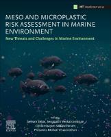 Meso and Microplastic Risk Assessment in Marine Environments: New Threats and Challenges