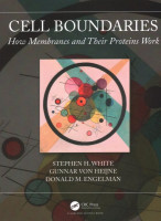 Cell Boundaries: How Membranes and Their Proteins Work