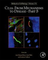 Cilia: From Mechanisms to DiseasePart B, Volume 176