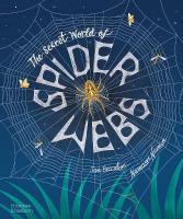 Secret World of Spider Webs