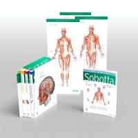 Sobotta Atlas of Anatomy, Package, 17th ed., English/Latin: General Anatomy and Musculoskeletal System; Internal Organs; Head, Neck and  Neuroanatomy; Muscles Tables; Poster Collection