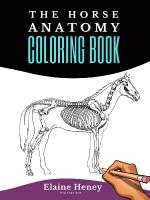 Horse Anatomy Coloring Book For Adults: Self Assessment Equine Coloring Workbook: Test Your Knowledge - For  Equestrians & Veterinary Students