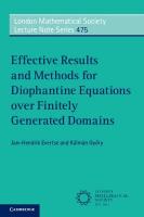 Effective Results and Methods for Diophantine Equations over Finitely  Generated Domains