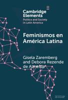 Feminismos en América Latina: Redes anidadas por el derecho al aborto en México y Brasil