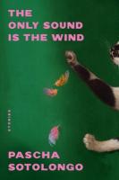 Only Sound Is the Wind: Stories