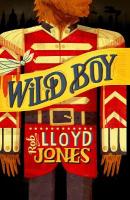 Rollercoasters: Wild Boy 1