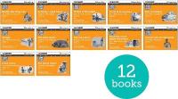 Read Write Inc. Phonics: Orange Set 4 More Black & White Storybooks (Pack of  12) 1