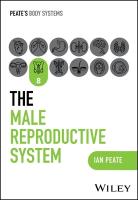 Male Reproductive System