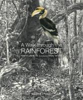 Walk Through the Rainforest