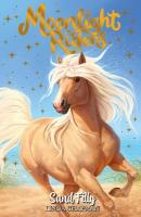 Moonlight Riders: Sand Filly: Book 6