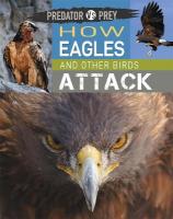 Predator vs Prey: How Eagles and other Birds Attack Illustrated edition