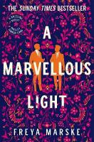 Marvellous Light: A dazzling, queer romantic fantasy