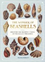 Wonder of Seashells: Discover the Meaning & Magic of the Oceans Treasures