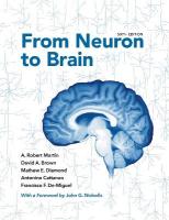 From Neuron to Brain 6th Revised edition