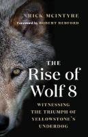 Rise of Wolf 8: Witnessing the Triumph of Yellowstone's Underdog