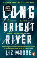 Long Bright River: an intense family thriller