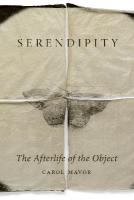 Serendipity: The Afterlife of the Object