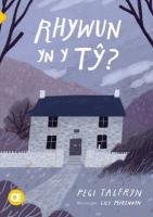 Cyfres Amdani: Rhywun yn y T?