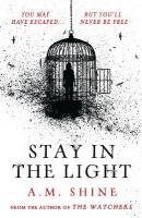 Stay in the Light: the chilling sequel to hit horror novel THE WATCHERS