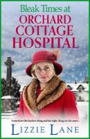 Bleak Times at Orchard Cottage Hospital: The BRAND NEW instalment in Lizzie Lane's heartbeaking saga series for 2025 Large type / large print edition
