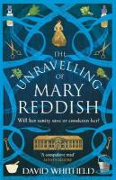Unravelling of Mary Reddish: a powerful historical novel about a woman unjustly committed to an asylum