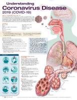Understanding Coronavirus Disease 2019 (COVID-19) Anatomical Chart Revised Reprint