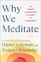 Why We Meditate: The Science and Practice of Clarity and Compassion