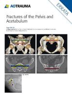 Fractures of the Pelvis and Acetabulum (AO): Principles and Methods of Management 4th edition