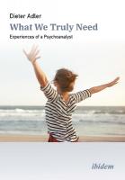 What We Truly Need: Experiences of a Psychoanalyst Paperback original