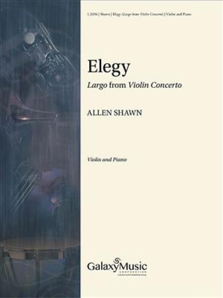 Elegy: Largo from Violin Concerto