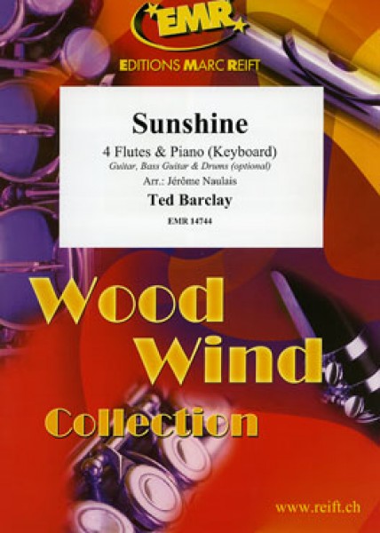 Sunshine Guitar, Bass Guitar & Drums optional
