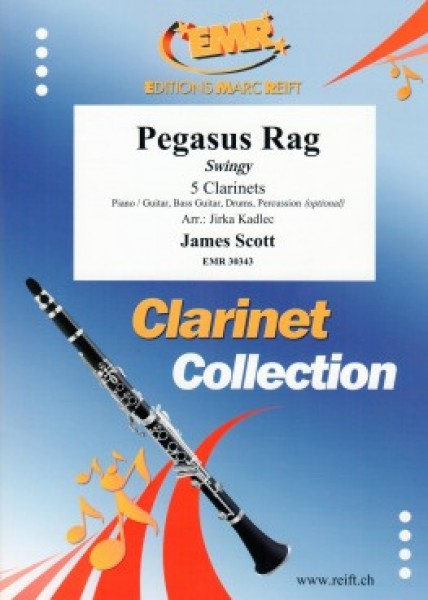 Pegasus Rag Swingy