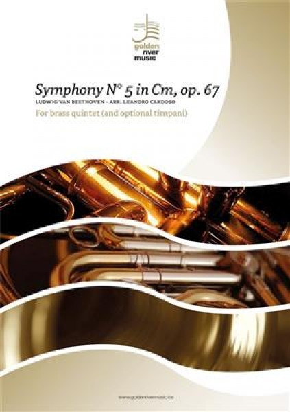 Symphony 5 - first movement