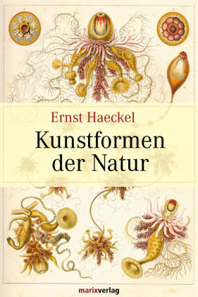 Kunstformen der Natur: Hundert Illustrationstafeln mit beschreibendem Text. Allgemeine Erläuterung und systematische Übersicht. Mit e. Prolog v. Jochen Martens