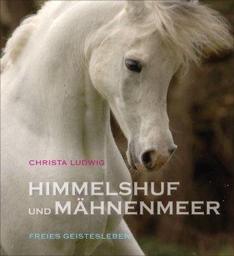 Himmelshuf und Mähnenmeer: Drei Pferde-Fotogeschichten.